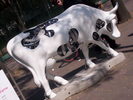 Una vaca parada