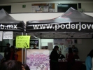 Imagen Aleatoria