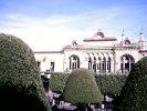 Leon, Gto