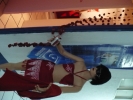 Expo-disenio 2008
