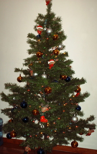 Mi arbolito de Navidad...